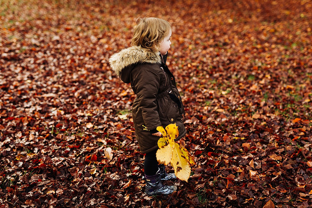 family photo shoot at Frederiksberg Have in Copenhagen, family photos by Natalia Cury family photographer