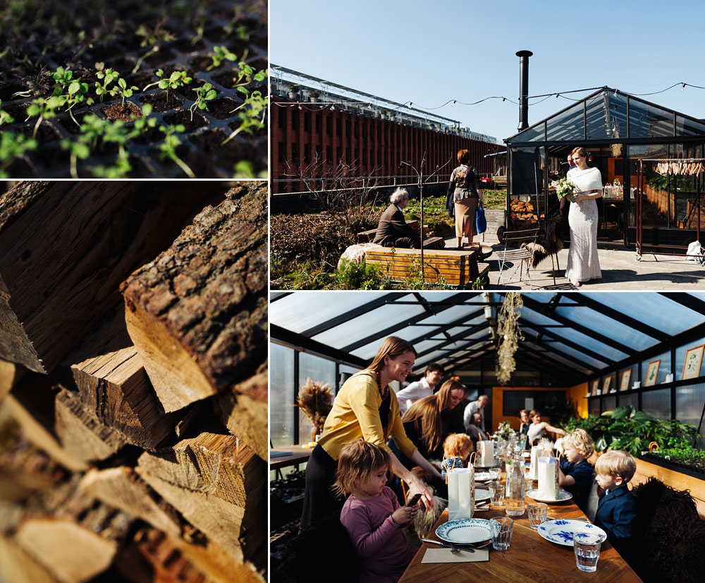 wedding reception in a greenhouse in Copenhagen, Restaurant Gro Spiseri